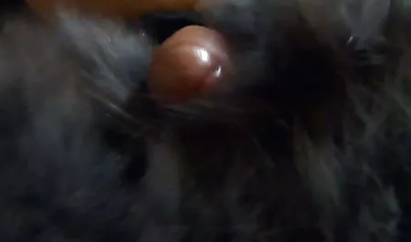 Apa xxx guru jepang namanya?