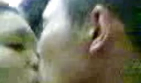 Besar titted Avri Norwood di meja xxx pron jepang biliar